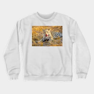 Leopard (Panthera pardus) in the Okavango Delta Crewneck Sweatshirt